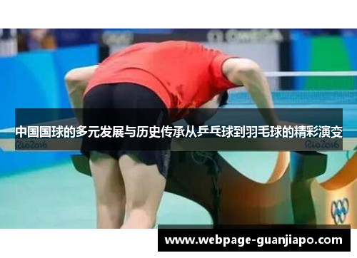 中国国球的多元发展与历史传承从乒乓球到羽毛球的精彩演变